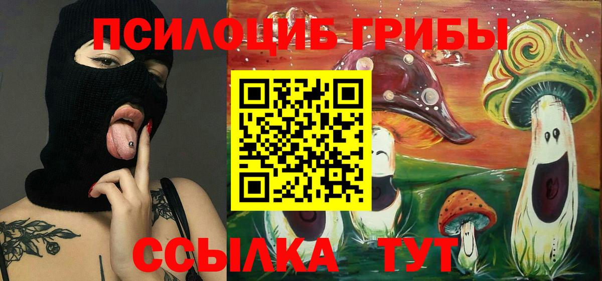 Псилоцибиновые грибы Psilocybe  Галлюциногенные грибы GOLDEN TEACHER  Вход с VPN  Химки 