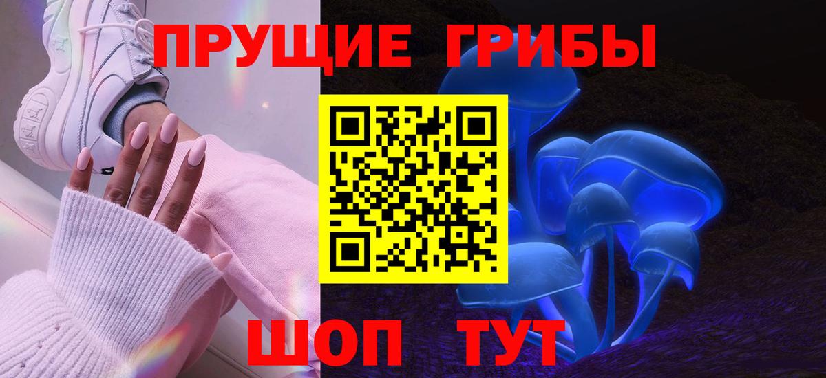 Псилоцибиновые грибы Psilocybe Химки