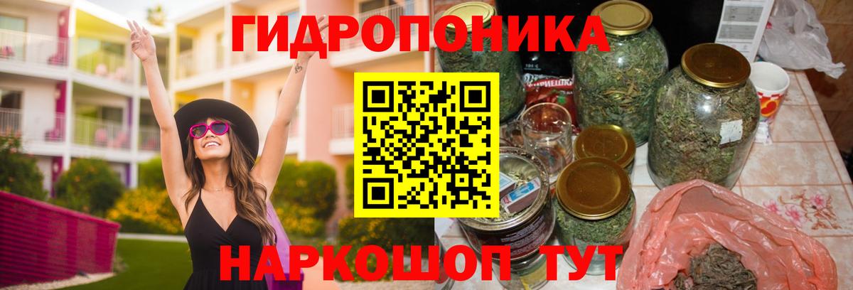 Канабис планчик  Конопля марихуана  Химки  Вход с VPN  Бошки Шишки Ganja 